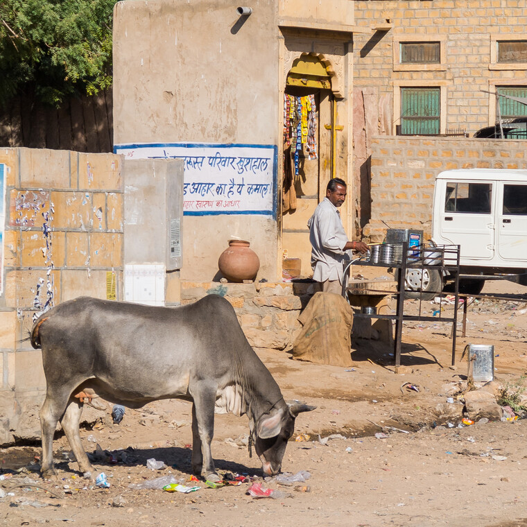 India 2014 - Jaisalmer 008.jpg